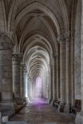 Laon - Galerie de la Cathédrale Notre-Dame de Laon